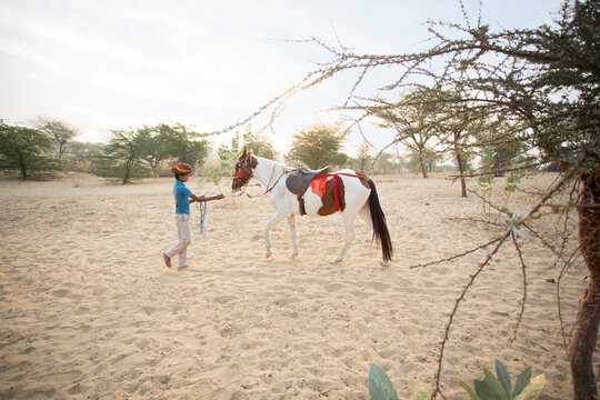 Young boy training horse in Rajasthan Desert. India.