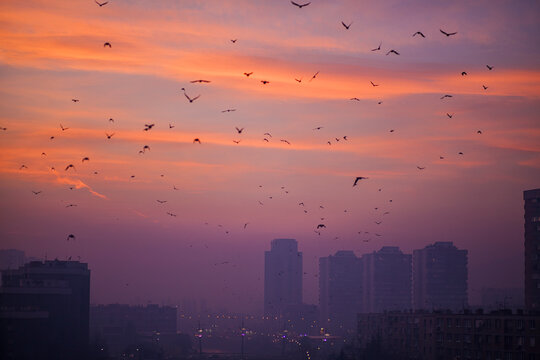 Winter sunset in the city