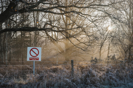Sunlight through mist and military firing range sign.