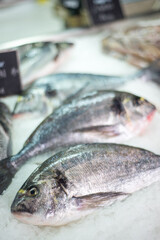 Fresh Seabream fish on a bed of crushed ice,displayed at Kotor farmer's market,Kotor,Montenegro.