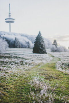 a grass path in a winter landscape