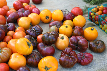 heirloom tomatoes 