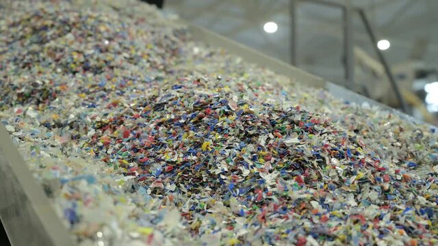 Plastic recycling plant. Conveyor with shredded plastic