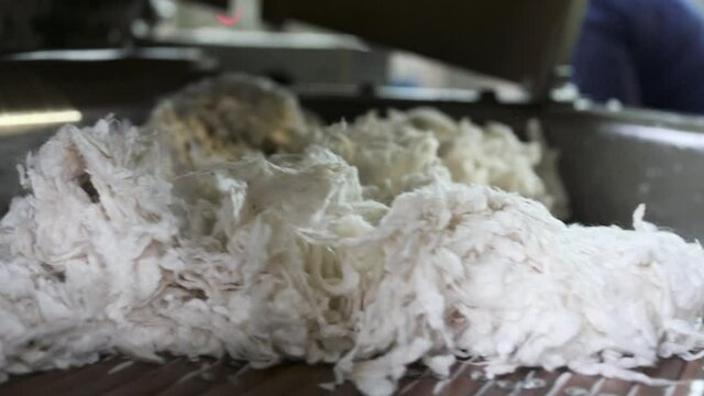 Laying pieces of sheep wool on a conveyor
