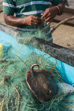 man untangling his fishing with fresh caught fish