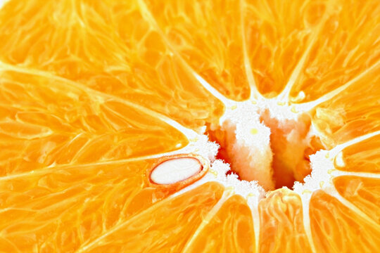 Orange slice closeup