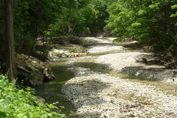 Obraz premium natural stream in Japan