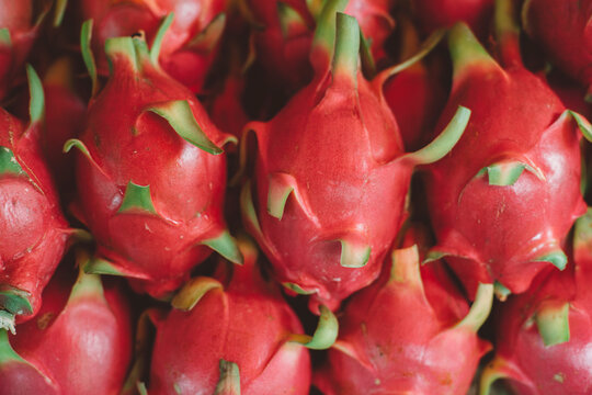 Dragon fruit