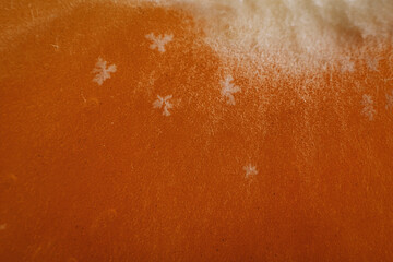 close up of an orange