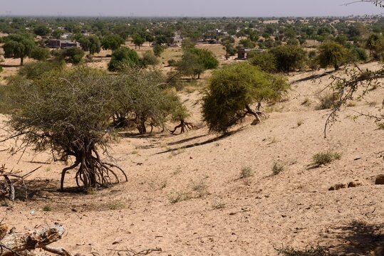 Sand dunes at Thar desert, India