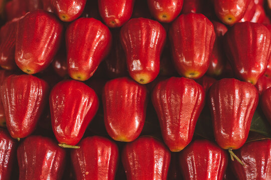 Red Roseapple Thai fruit