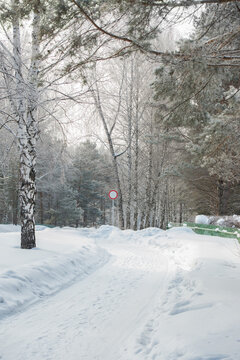 Winter road in forest