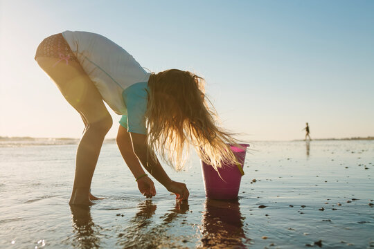 Child collecting seashells in tidepool on Vacation