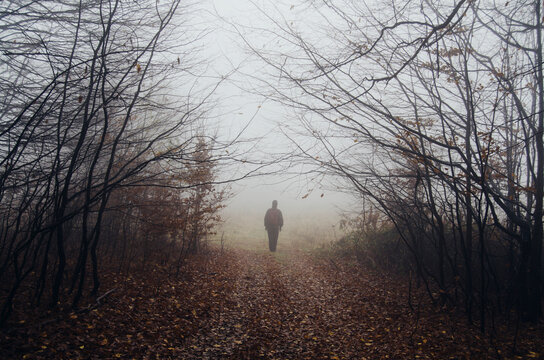 Man in forest with fog