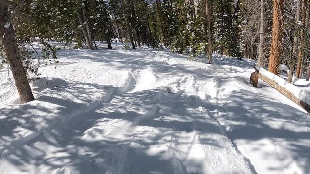 Follow Cam Of A Solo Woman Skiing On A Sunny Winter Day