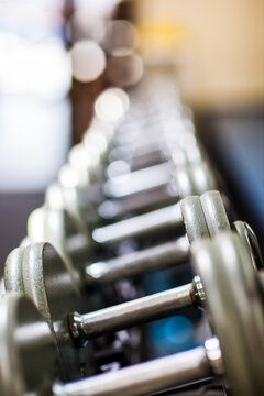 Row of dumbbells in a gym
