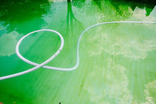 A swimming pool infested with green algae and slime.