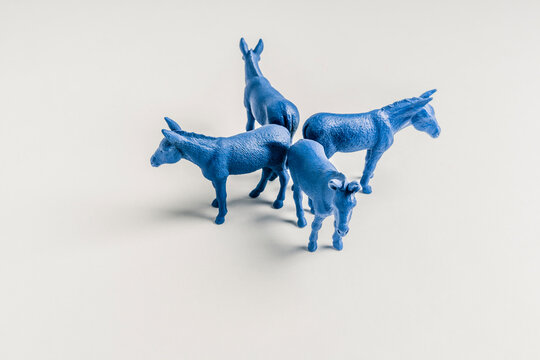 United States Democratic Donkeys Walking in Opposing Directions