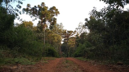 Tierra colorada 