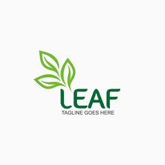 Green leaf logo design template for business company 