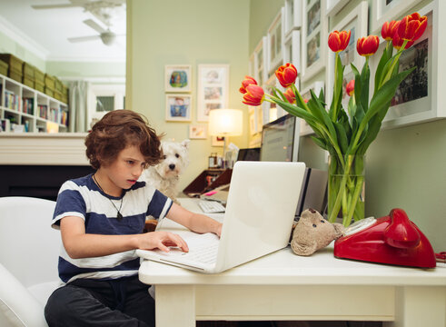 Boy Using A Computer In A Home Office