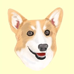 Illustration of a handsome puppy on watercolor background. Dogs driving helicopters and air ballon