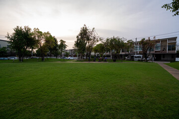 sunset in the park