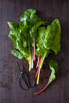 Swiss chard
