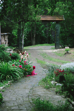 Beautiful yard after spring rain