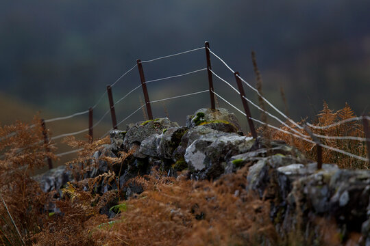 A fenceline in the murk on top of a stone wall