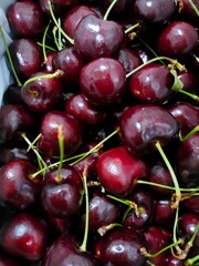 cherries on a white background