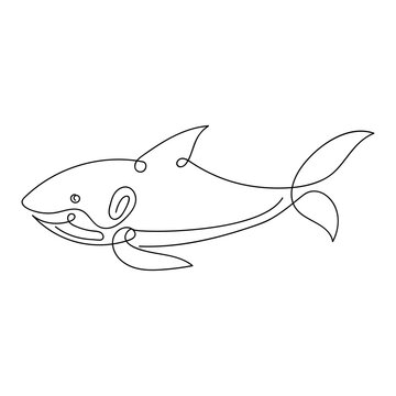 Shark Line Art vector illustration, Abstract Minimalist Wall Art