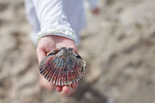 young girl holding shell