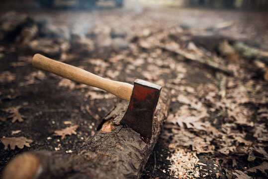 Detail of axe stuck in log