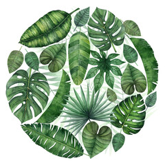 Watercolor composition with tropical leaves isolated on white background. Illustration for design of wedding invitations, greeting cards.