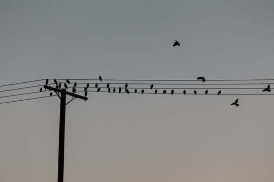 Fly Away