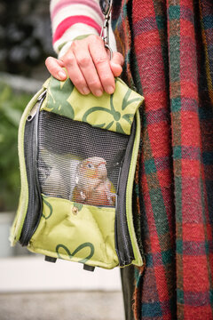 Woman holding portable container with parrot