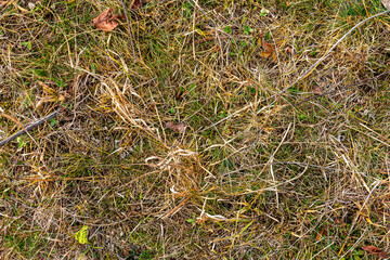 Autumn walks in the park, on tourist routes .