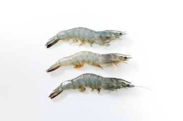 Fresh shrimp  isolated on white background