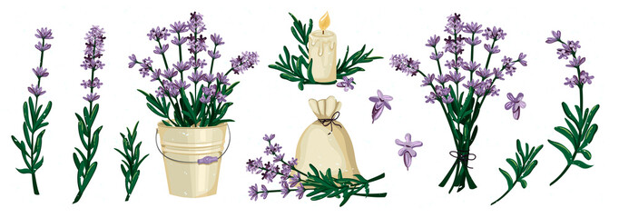 Fototapeta na wymiar lavender set. Vector graphics. EPS format
