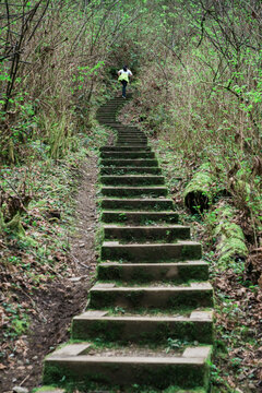 Woman Running Up Steep Stairs For Fitness