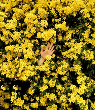 Hello Spring