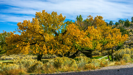 Great Basin National Park, Nevada
