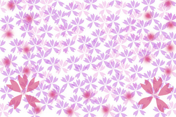 カード用素材　さくら　背景透過