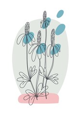 Chamomile minimal poster. Hand drawn line wild flowers and leaves with abstract shape. Herbal and meadow plant collection, modern wall art floral decor vector botanical illustration pink, blue colors