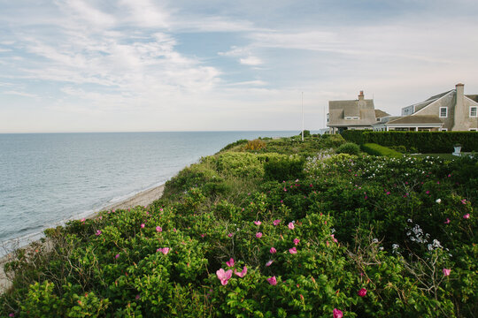 Nantucket Summer