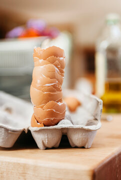 Egg Shells
