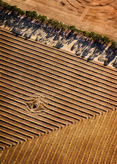 Aerial view of Harvested wheat fields
