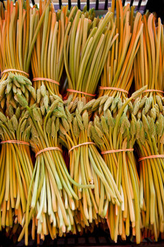 Wild Asparagus