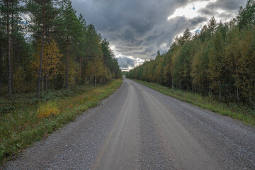 Small road in the boreal forest with total cloud cast